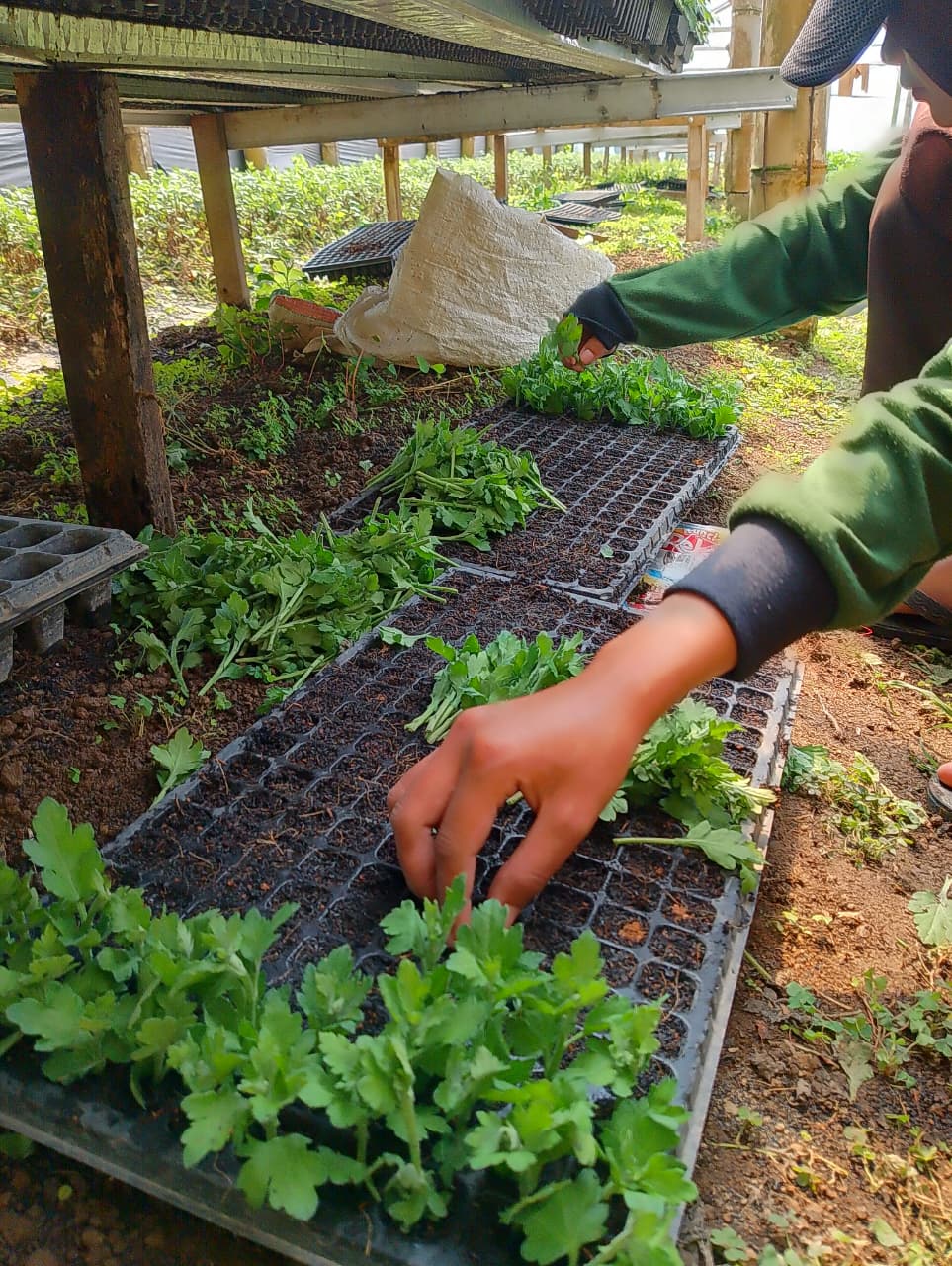 Kegiatan 1