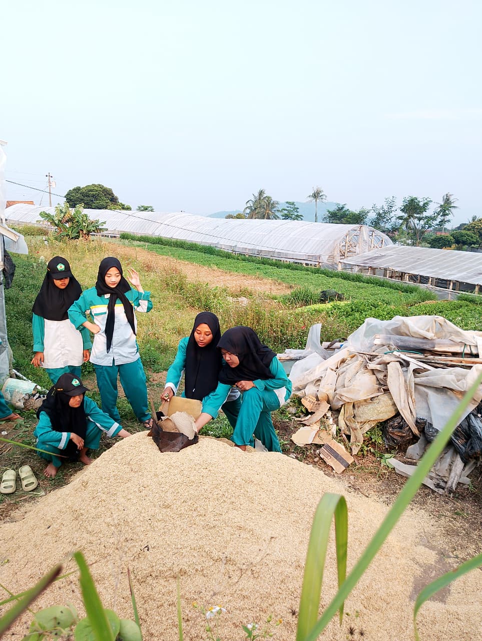 Kegiatan 5